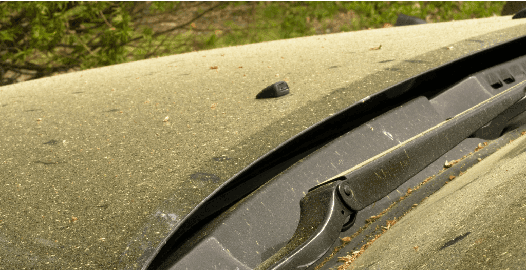 Car hood and windshield wiper coated in yellow-green pollen and debris