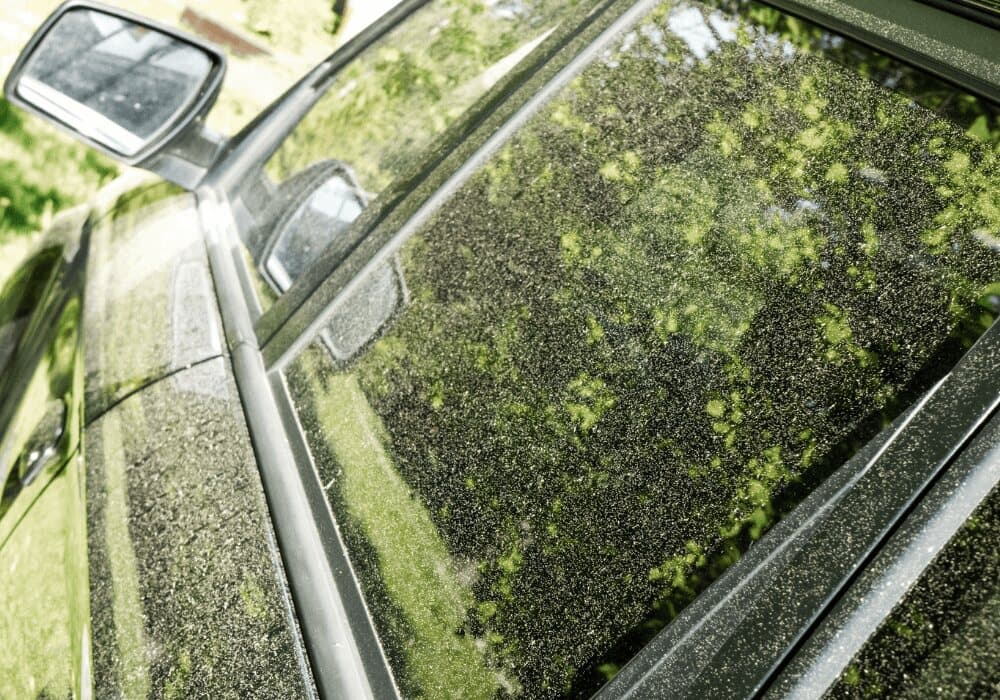 Dark car's side window and mirror covered in a dusting of yellow-green pollen