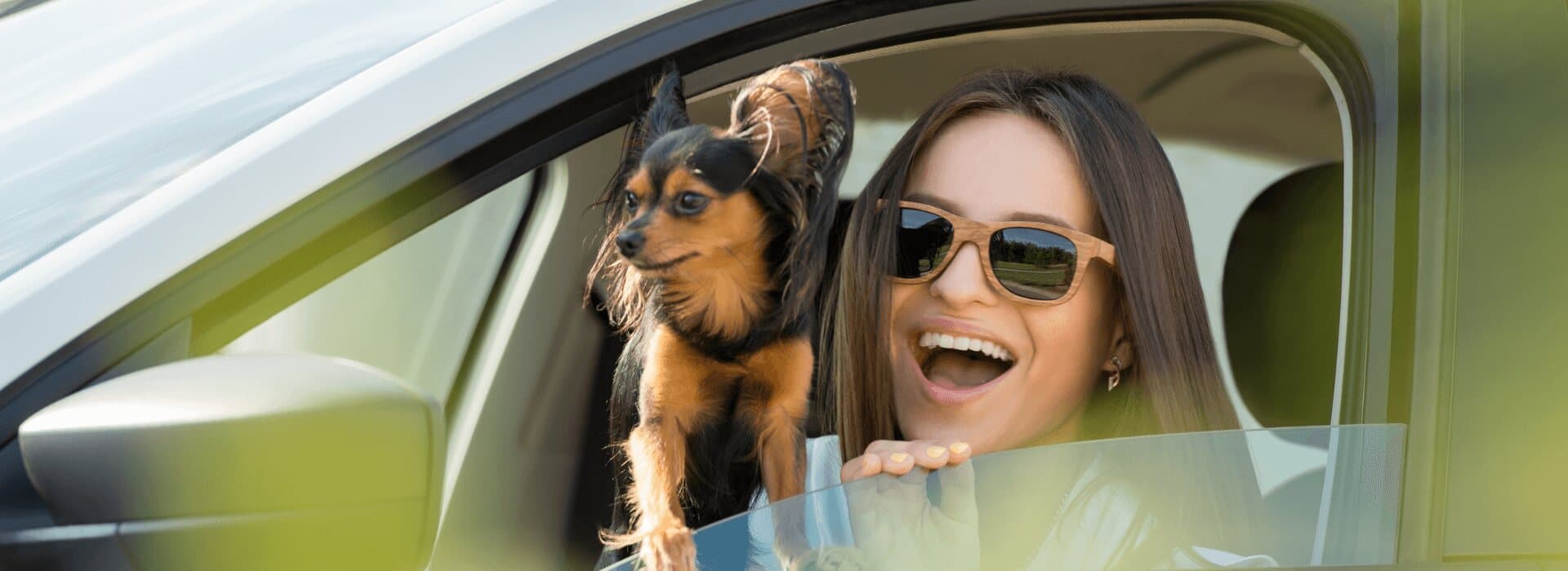Laughing woman in sunglasses and a small long-haired dog leaning out of a car window